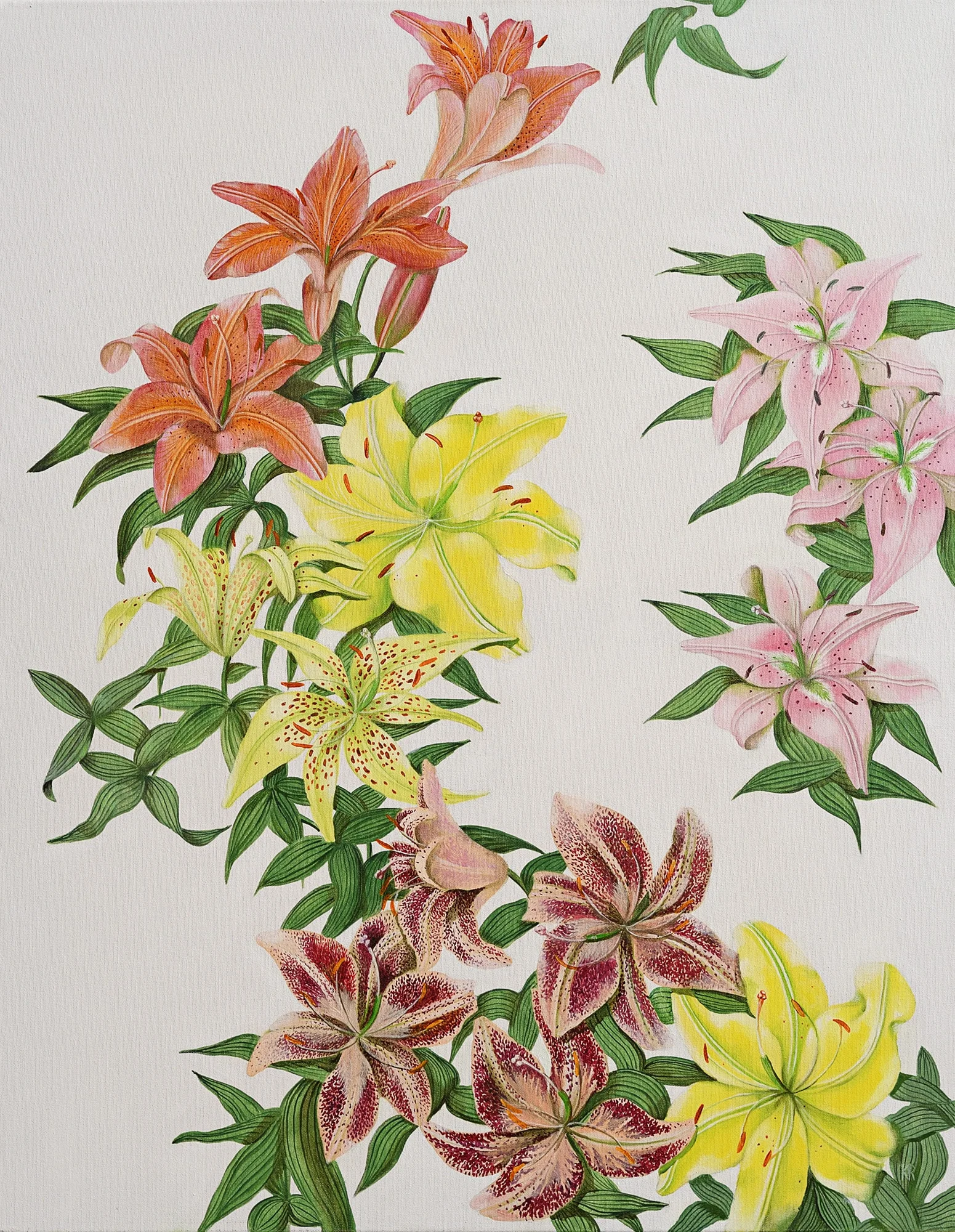 21 Dsc5568 Mazais Debesu Spi Deklis 110x140 2020